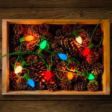 Load image into Gallery viewer, Vintage Style LED Christmas Lights | 25 Light Set