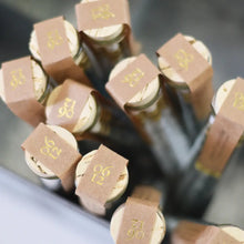 Load image into Gallery viewer, Tea Garden Pencil Terrarium | Set of 5