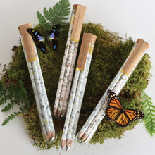 Load image into Gallery viewer, Monarchs Pencil Terrarium | Set of 5