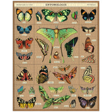Load image into Gallery viewer, Entomology Puzzle | 1000 piece