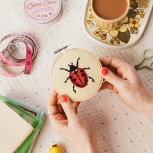 Load image into Gallery viewer, Ladybug Cross Stitch Kit