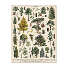 Load image into Gallery viewer, Aboretum Puzzle | 1000 piece