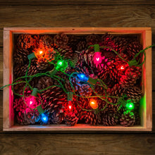 Load image into Gallery viewer, Vintage Style LED Christmas Lights | 25 Light Set