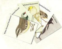 Load image into Gallery viewer, The Bush Birds Card Game