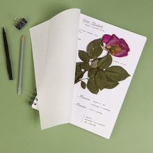 Load image into Gallery viewer, Herbier Compendium