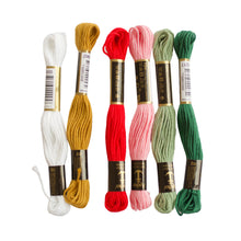 Load image into Gallery viewer, Friendship Bracelet Kit | Makes 12-15