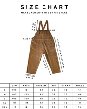 Load image into Gallery viewer, The 1924us Overall | Indigo