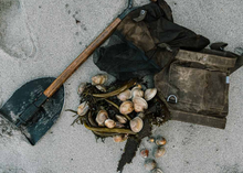 Load image into Gallery viewer, Folding Shovel with Sheath