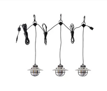 Load image into Gallery viewer, Edison String Lights | Vintage White