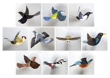 Load image into Gallery viewer, Birds of a Feather | Press Out and Learn