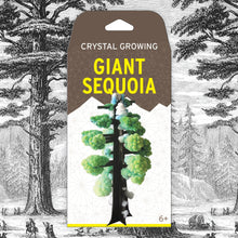 Load image into Gallery viewer, Crystal Sequoia Growing Tree Kit