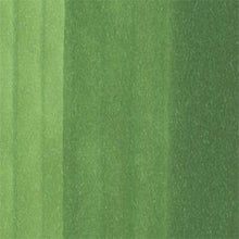 Load image into Gallery viewer, Copic Ciao | Moss YG67