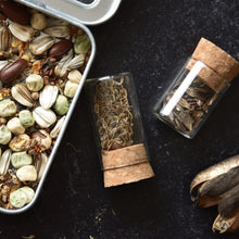 Load image into Gallery viewer, Seed Collecting Kit