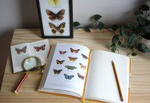 Load image into Gallery viewer, Observer&#39;s Notebook | Butterflies
