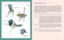 Load image into Gallery viewer, 100 Australian Birds