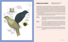 Load image into Gallery viewer, 100 Australian Birds