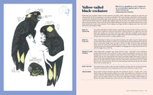 Load image into Gallery viewer, 100 Australian Birds