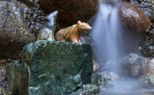 Load image into Gallery viewer, 2 Pack Soapstone Carving Kit | Wolf/Bear