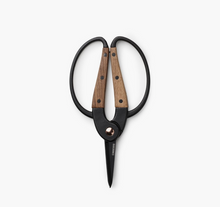Load image into Gallery viewer, Small Scissors | Walnut