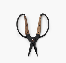 Load image into Gallery viewer, Small Scissors | Walnut