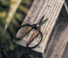 Load image into Gallery viewer, Small Scissors | Walnut