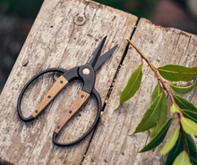 Load image into Gallery viewer, Small Scissors | Walnut
