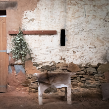 Load image into Gallery viewer, Deer Hide | Fallow Red Menil