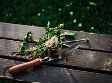 Load image into Gallery viewer, Dandelion Weeding Fork
