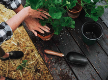 Load image into Gallery viewer, Garden Scoop