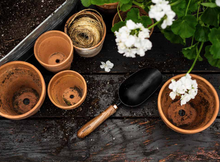 Load image into Gallery viewer, Garden Scoop