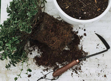 Load image into Gallery viewer, Japanese Weeding Hoe