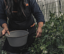 Load image into Gallery viewer, Chef Grilling Apron