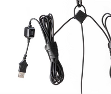 Load image into Gallery viewer, Edison String Lights | Bronze