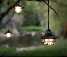 Load image into Gallery viewer, Edison String Lights | Bronze