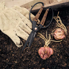 Load image into Gallery viewer, Large Scissors | Walnut