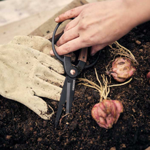 Load image into Gallery viewer, Large Scissors | Walnut