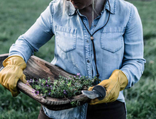 Load image into Gallery viewer, Classic Work Glove | Yellow