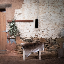 Load image into Gallery viewer, Deer Hide | Fallow Red Menil