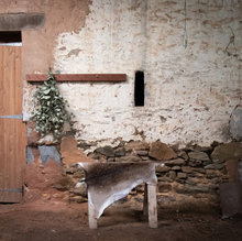 Load image into Gallery viewer, Deer Hide | Fallow Red Menil