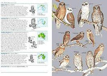 Load image into Gallery viewer, Field Guide To Birds Of Australia 8th Edition