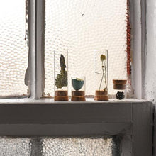 Load image into Gallery viewer, Specimen Bottles with Corks