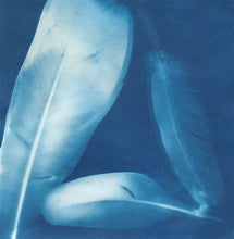 Load image into Gallery viewer, Sunprint Kit | Large