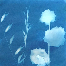 Load image into Gallery viewer, Sunprint Kit