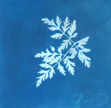 Load image into Gallery viewer, Sunprint Kit | Large