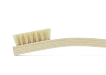 Load image into Gallery viewer, Tampico Brush