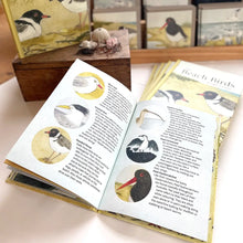 Load image into Gallery viewer, Beach Birds Book
