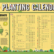 Load image into Gallery viewer, Temperate Planting Calendar Poster
