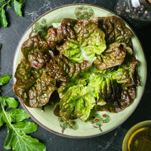 Load image into Gallery viewer, Lettuce Heirloom Seeds | Mignonette Bronza
