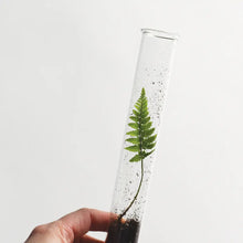 Load image into Gallery viewer, Monarchs Pencil Terrarium | Set of 5
