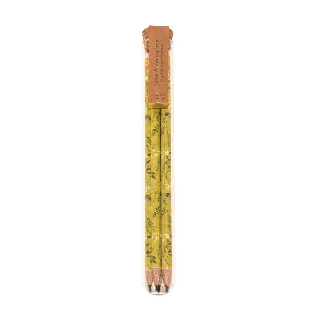 Tea Garden Pencil Terrarium | Set of 5